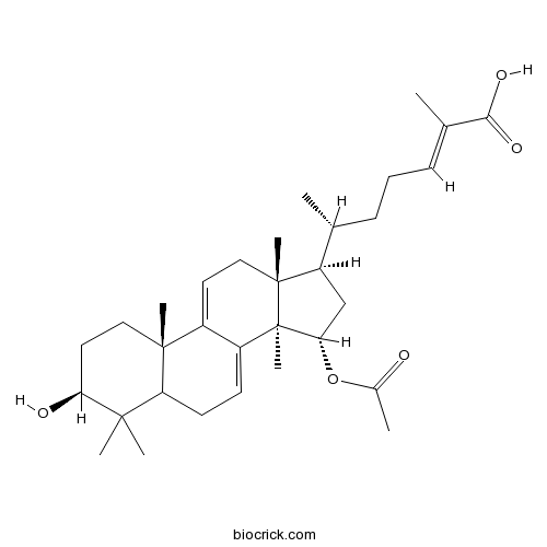 Ganoderic acid TN