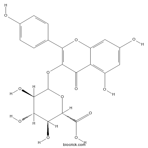 ケンペロール3-β-O-グルクロニド