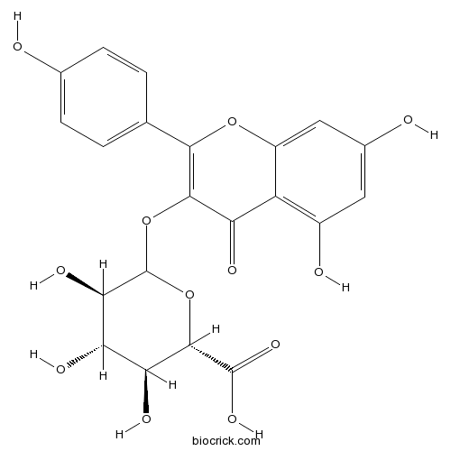 Kaempferol-3-beta-O-glucuronide