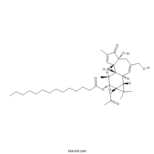 12-O-tetradecanoylphorbol-13-acetate