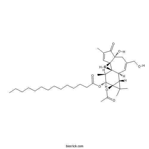12-O-十四烷酰佛波醋酸酯-13