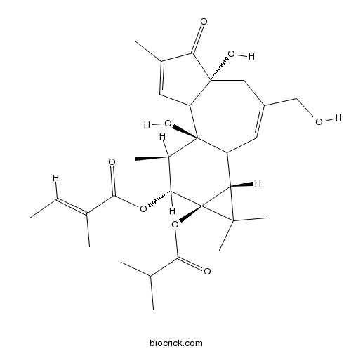 伏波酯-12-惕各酸酯-13-异丁酸酯