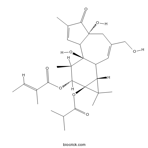 12-O-Tiglylphorbol-13-イソブチラート