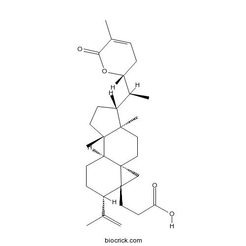 Schisanlactone E