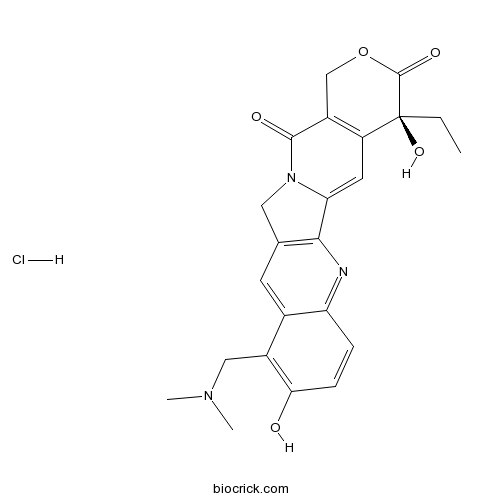 盐酸拓扑替康