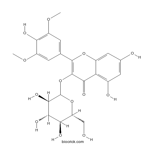 シリンゲチン-3-O-グルコシド