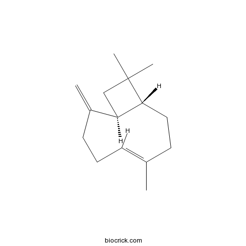 trans-Caryophyllene