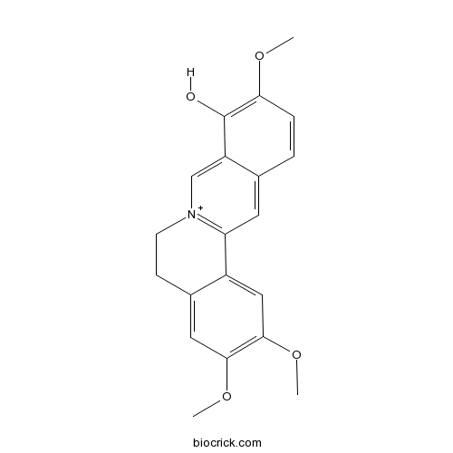 Palmatrubine