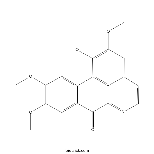 Oxoglaucine