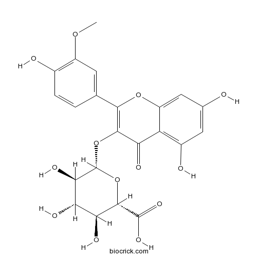 异鼠李素-3-葡萄糖醛酸苷