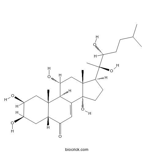 筋骨草甾酮C