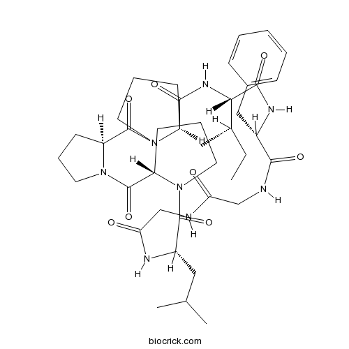 太子参环肽B