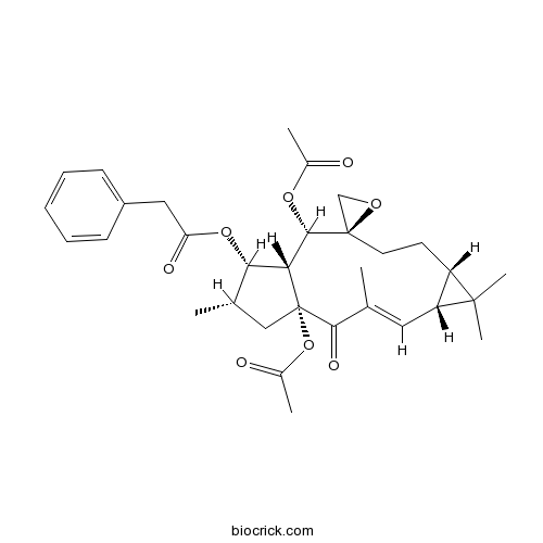 Euphorbiasteroid