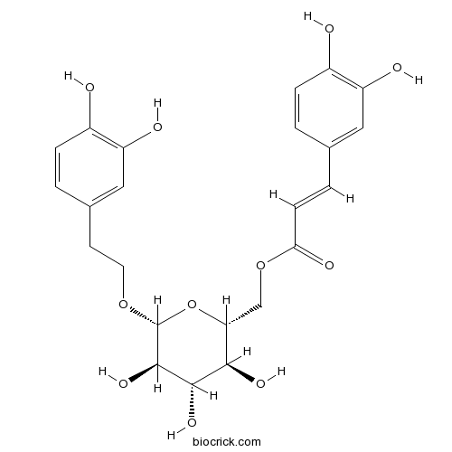 Calceolarioside B