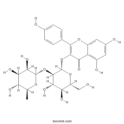 山柰酚-3-O-葡萄糖鼠李糖苷