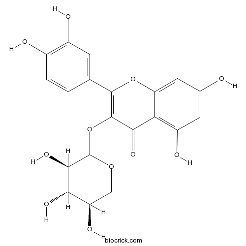 槲皮素-3-O-β-D-木糖甙