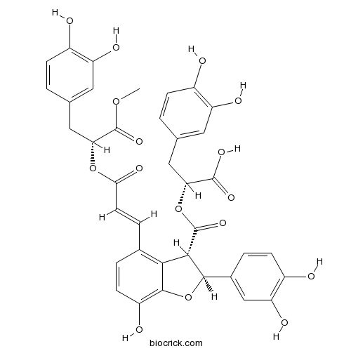 9'''-Methyl salvianolate B