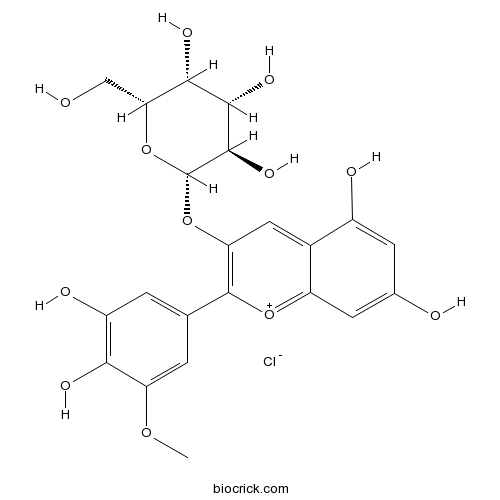 氯化矮牵牛素-3-O-半乳糖苷