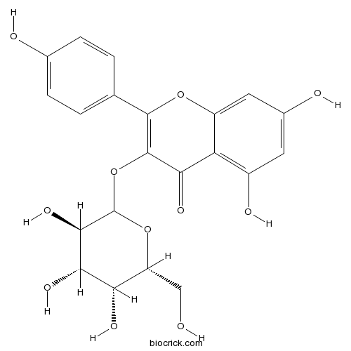山奈酚3-O-半乳糖苷