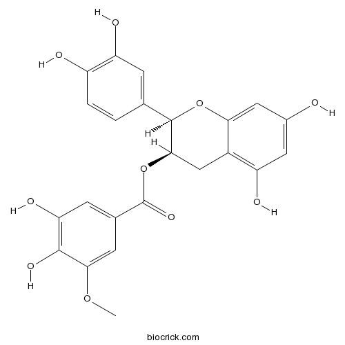 表儿茶素3-O-(3''-O-甲基)没食子酸酯