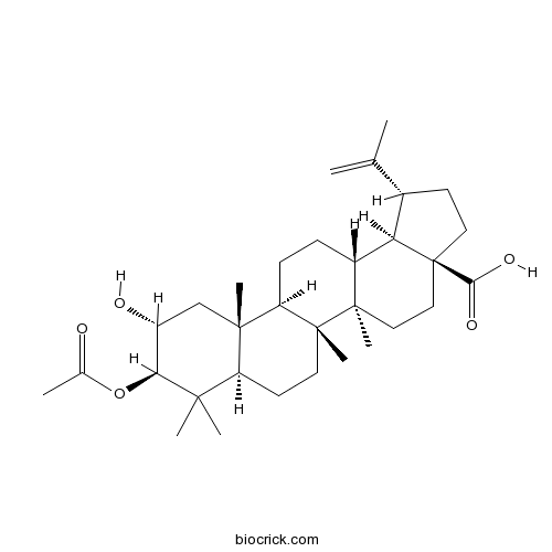 2alpha-hydroxy-3beta-acetyloxy-betulic acid