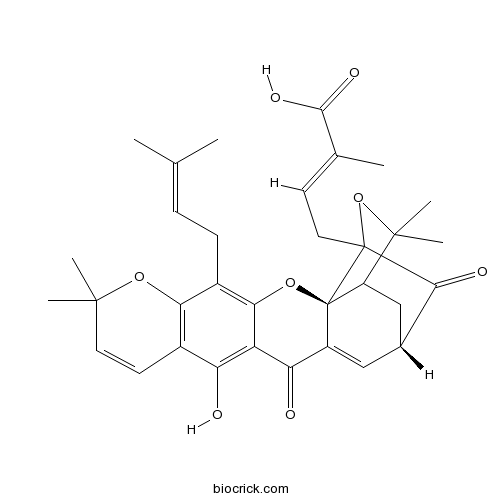 Isomorellic acid