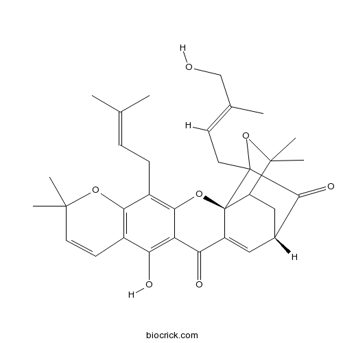 Isomorellinol