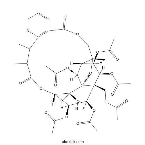 Euonymine