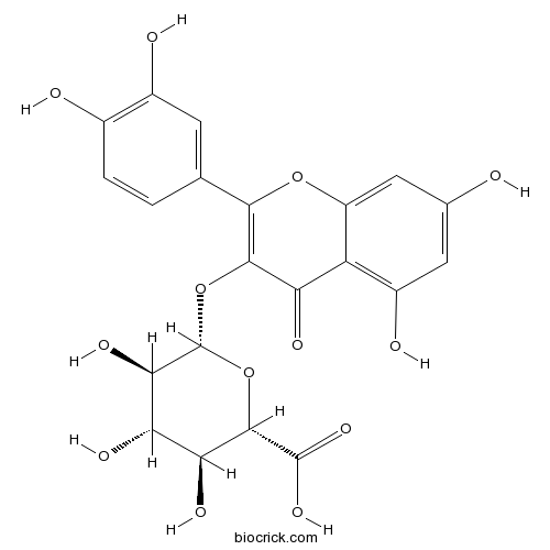 槲皮素3-O-葡萄糖酸苷