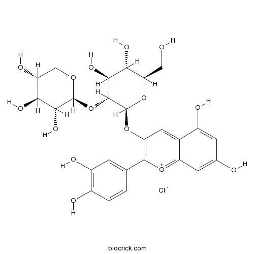 氯化失车菊素-3-O-桑布双糖苷