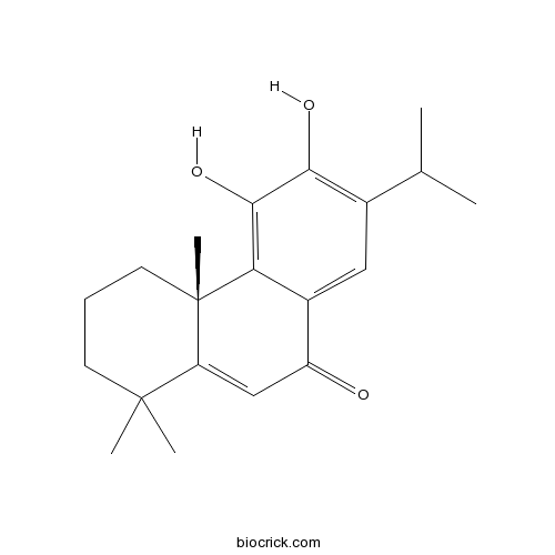 Salvinolone