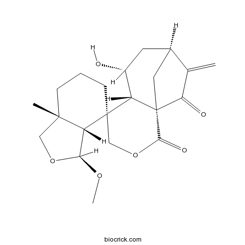 狭叶香茶菜素