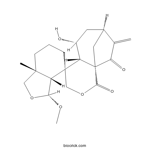 6-表-狭叶香茶菜素