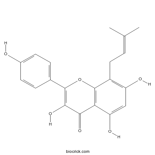 8-异戊烯基山柰酚