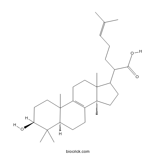 Trametenolic acid