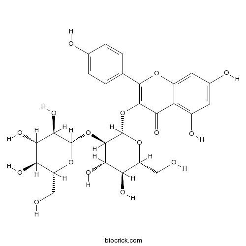 Kaempferol 3-O-beta-sophoroside