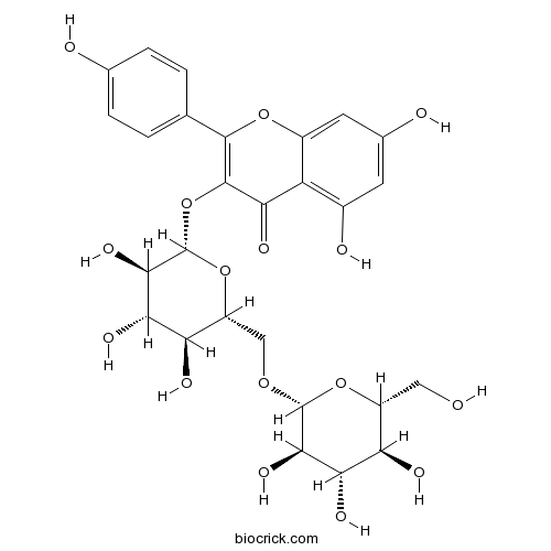 山奈酚 3-龙胆二糖苷
