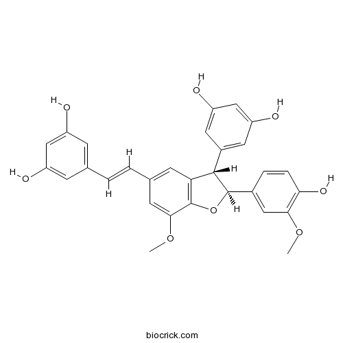 Shegansu B