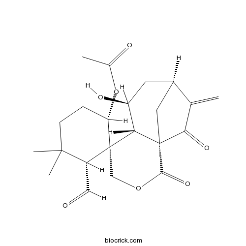 Isodonal