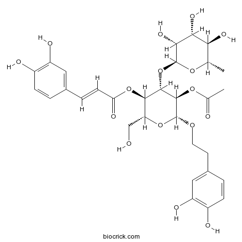 2'-乙酰基毛蕊花糖苷