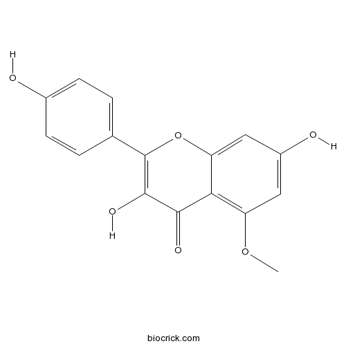 5-甲氧基山奈酚; 5-甲氧基莰非醇