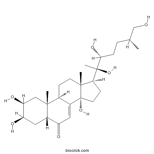 Inokosterone