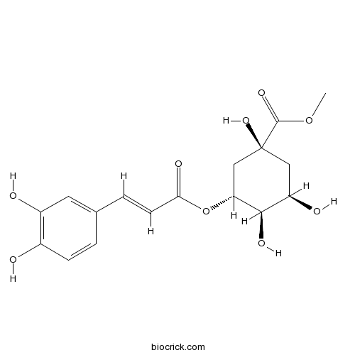 3-O-Caffeoylquinic acid methyl ester
