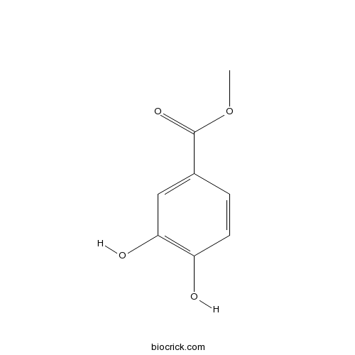 Protocatechuic acid methyl ester