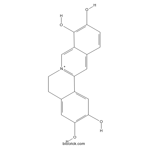 2,3,9,10-四羟基小檗碱