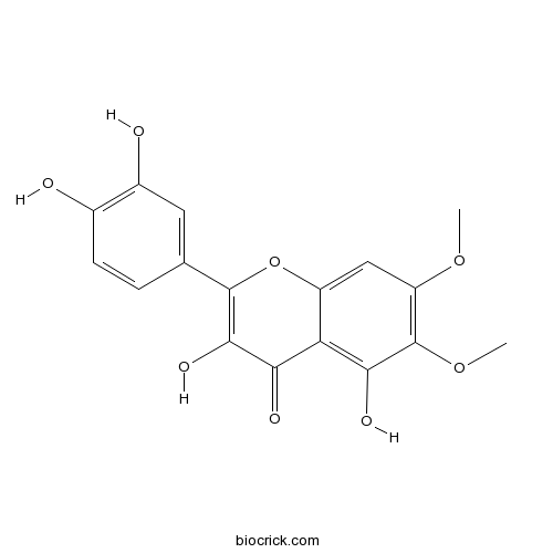 Eupatoletin