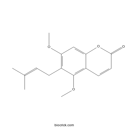 Toddaculine