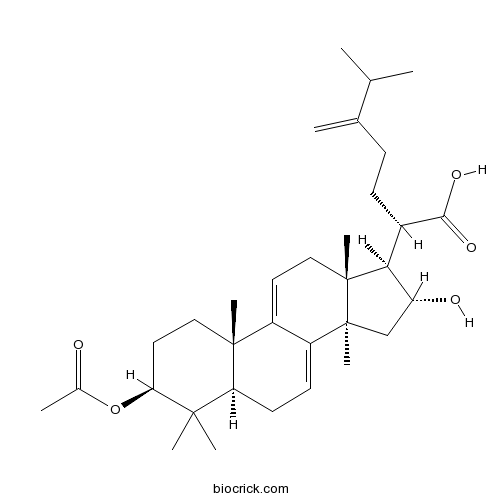 Dehydropachymic acid