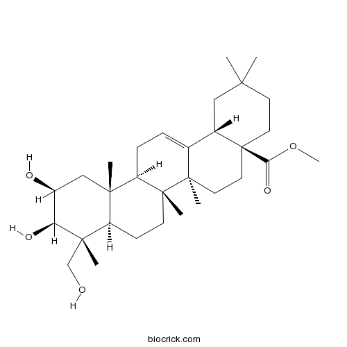 Bayogenin methyl ester