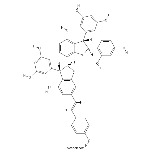 Gnetumontanin B